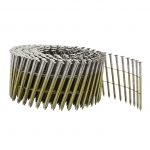 TJEP CN 25/55 Ring Nagels 15° RVS A2